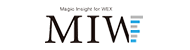 Magic Insight for WEX