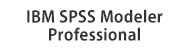 IBM SPSS Modeler Professional